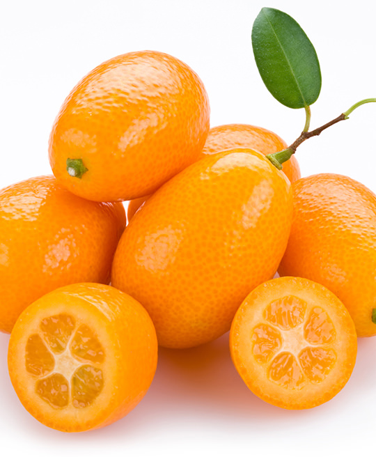 Kumquat Ovale