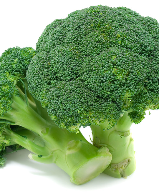 Broccolo