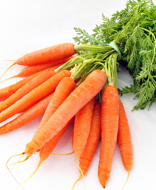 Carota