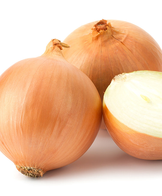 Cipolla