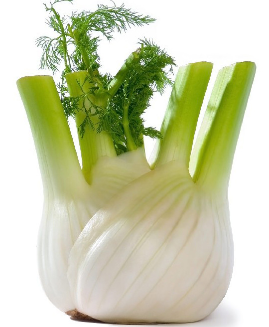 Finocchio