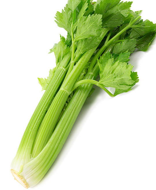 Sedano