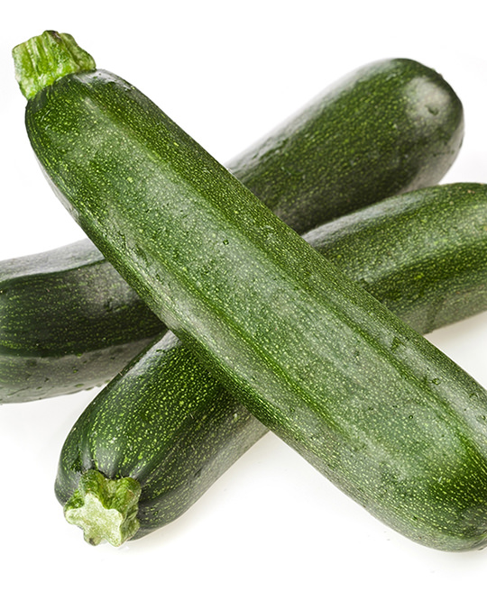 Zucchino
